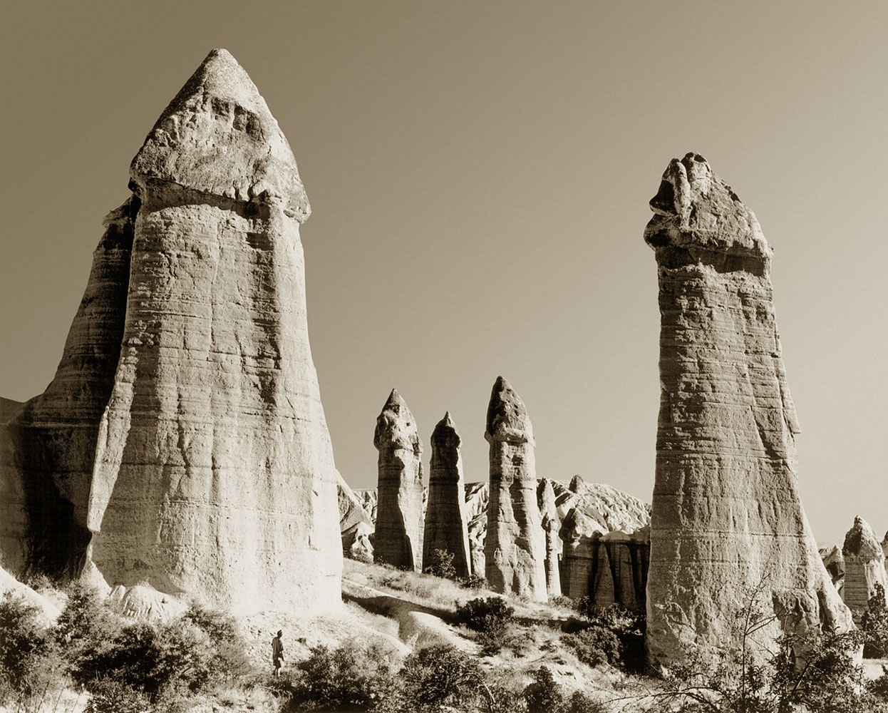 Download In The Penal Colony Gif